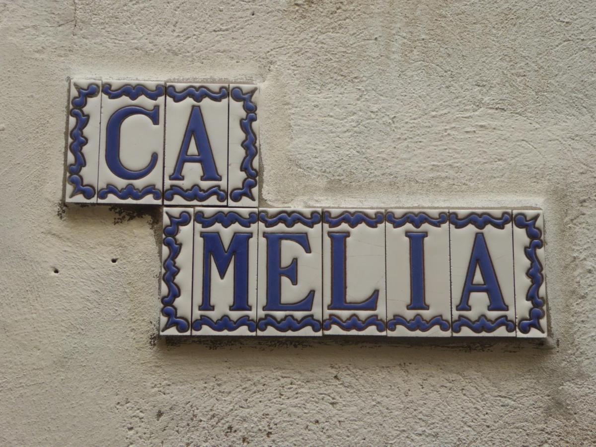 Ca Melia Bedigliora 아파트 외부 사진